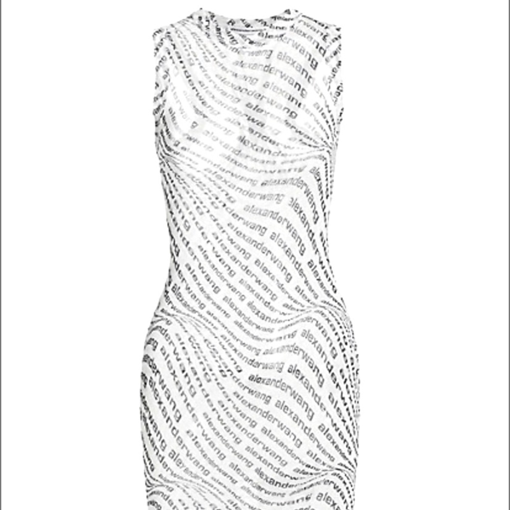 A mini Alexander wang dress